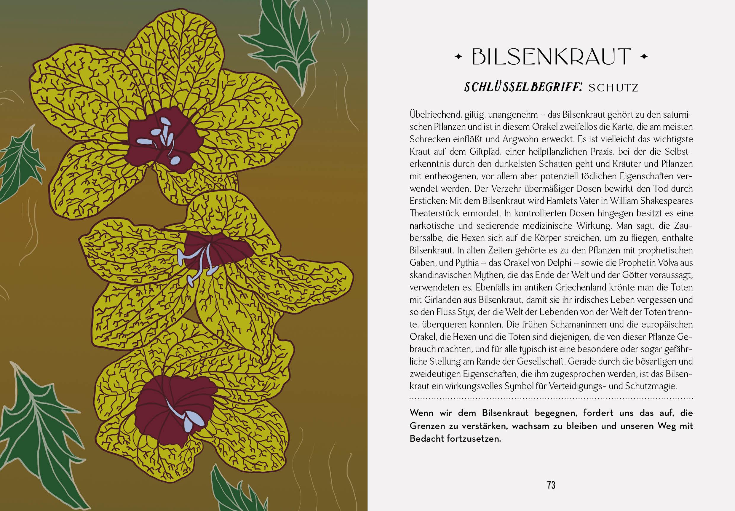 Beispielinhalt (Bild) Das Orakel der Schamanen