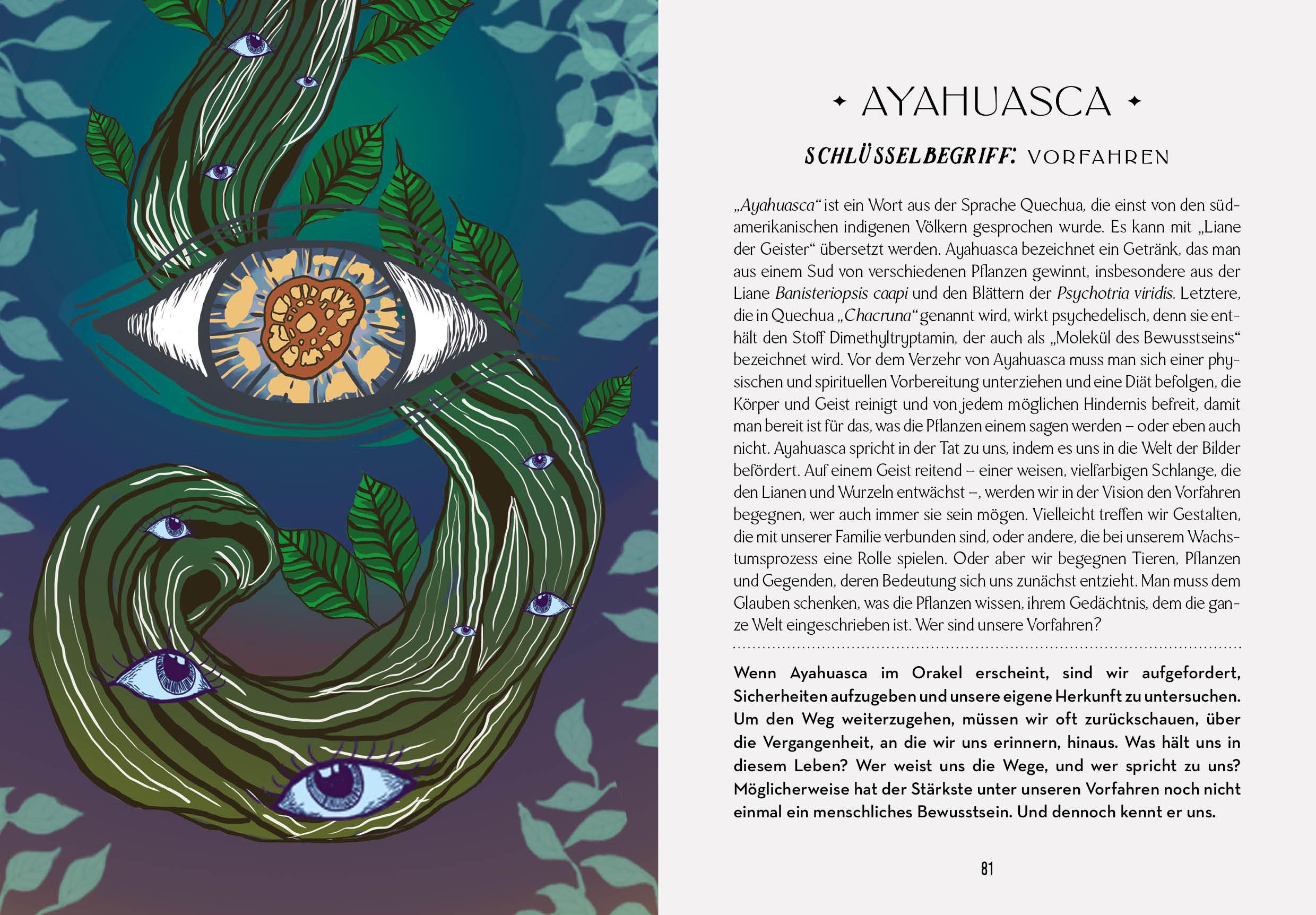 Beispielinhalt (Bild) Das Orakel der Schamanen