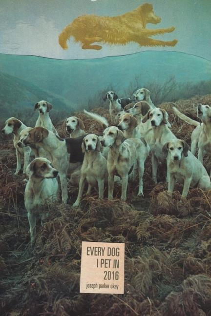 Vorderes Coverbild every dog i pet in 2016