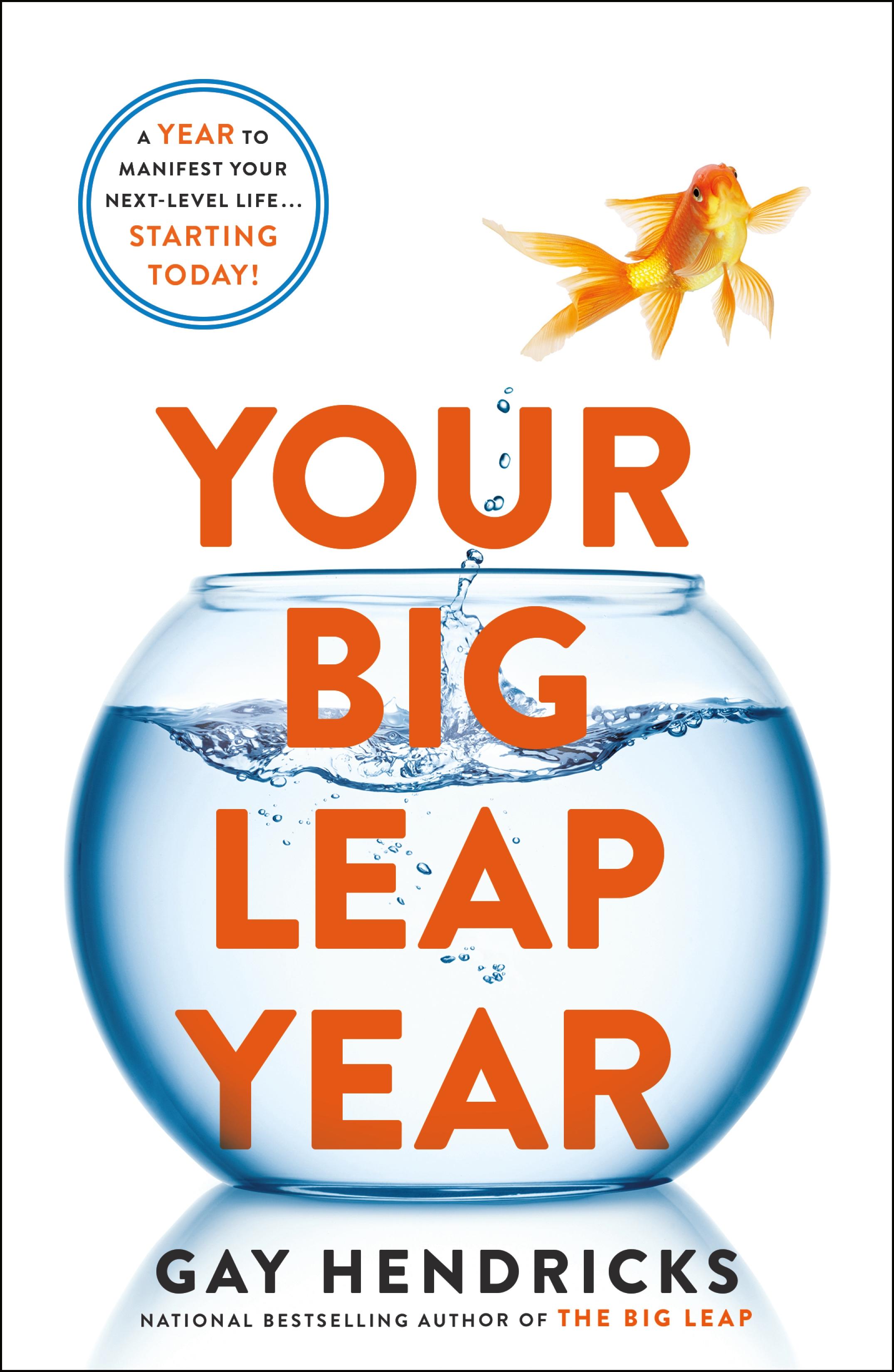 Vorderes Coverbild Your Big Leap Year