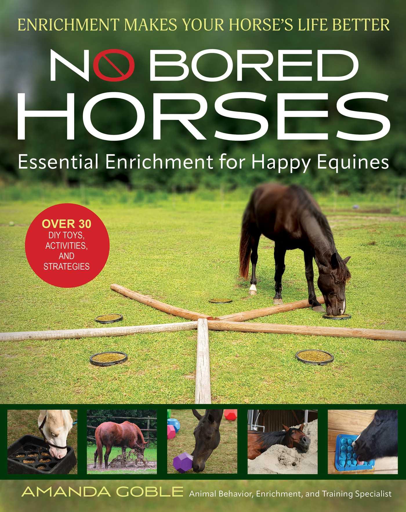 Vorderes Coverbild No Bored Horses