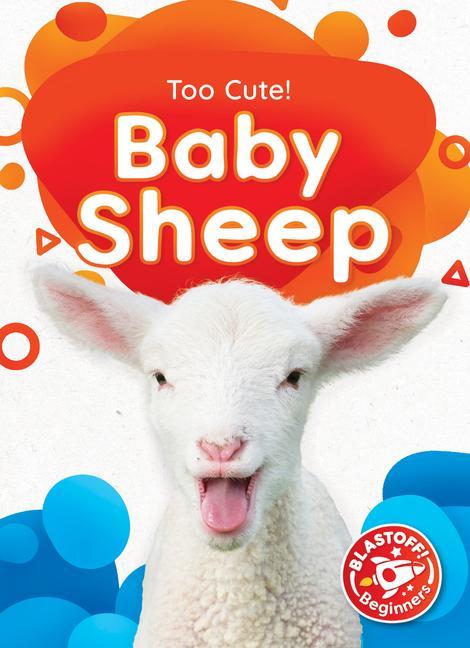 Vorderes Coverbild Baby Sheep