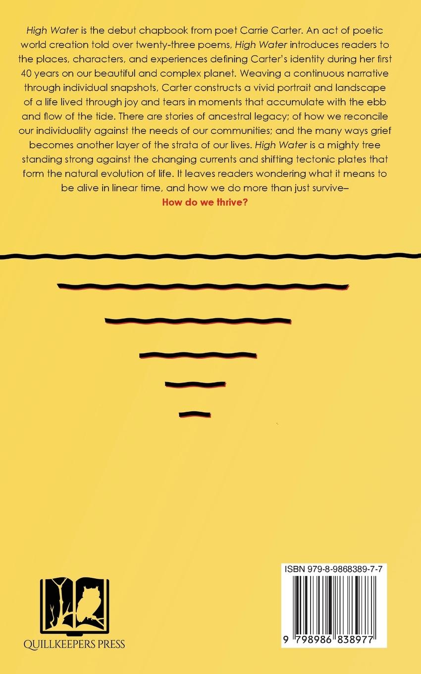 Rückseitencover High Water