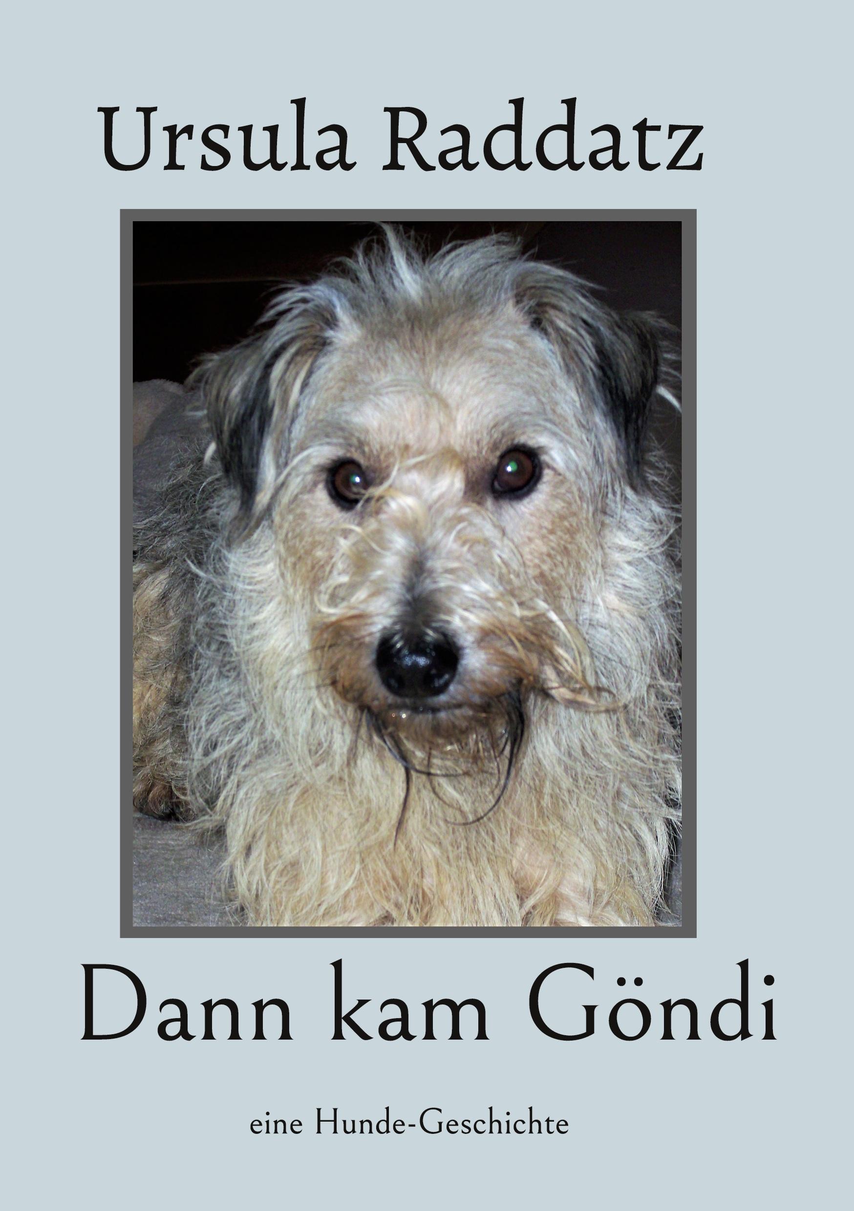 Vorderes Coverbild Dann kam Göndi