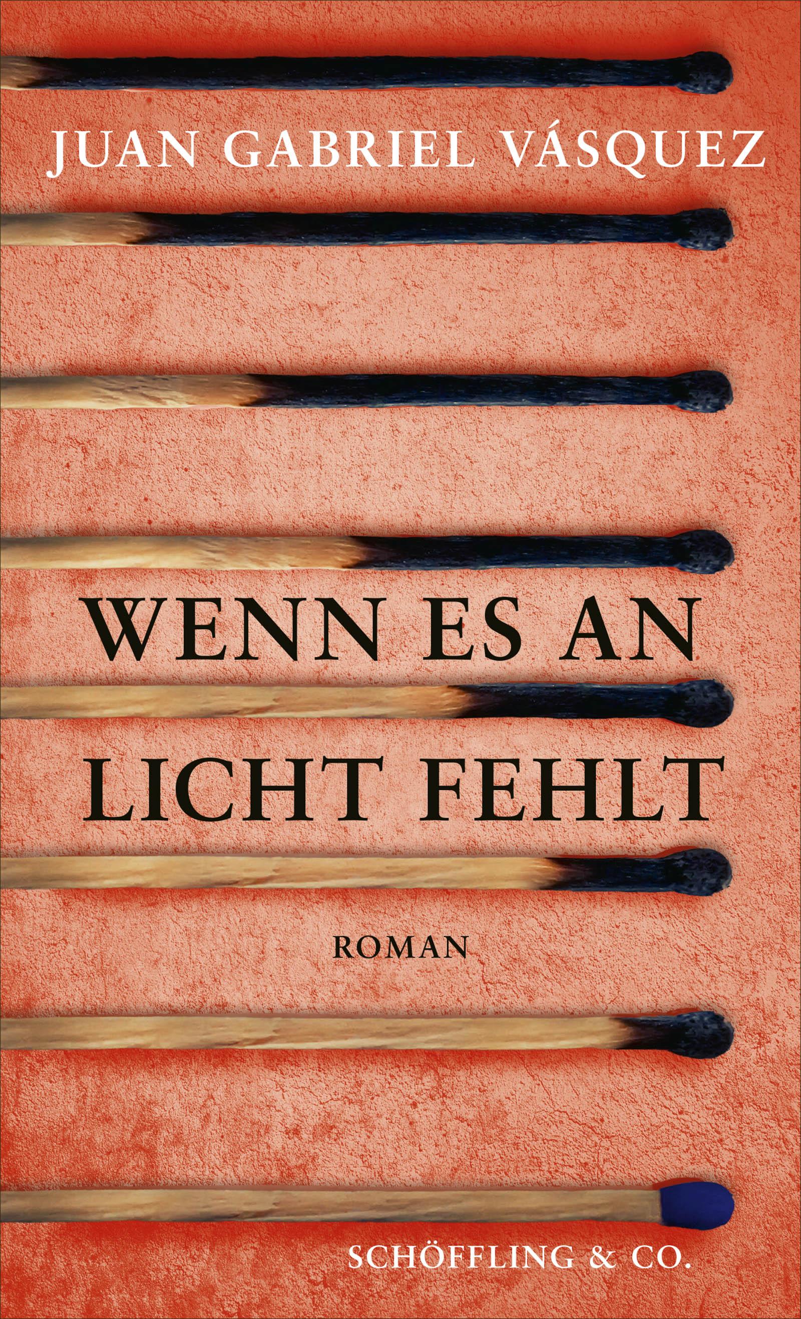 Vorderes Coverbild Wenn es an Licht fehlt