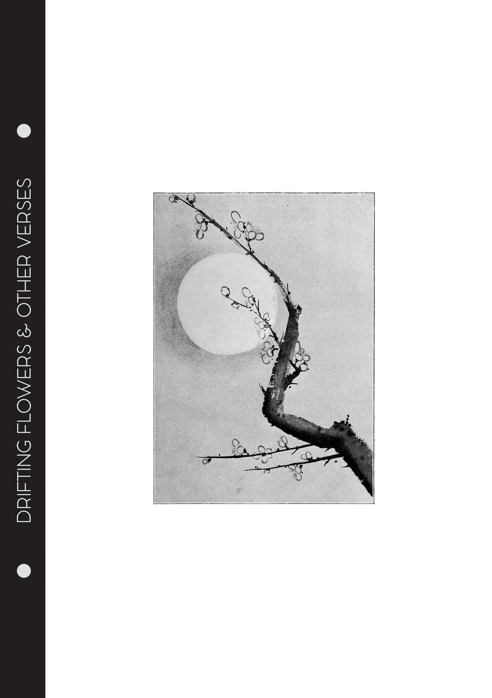 Vorderes Coverbild Sadakichi Hartmann - Drifting Flowers & Other Verses