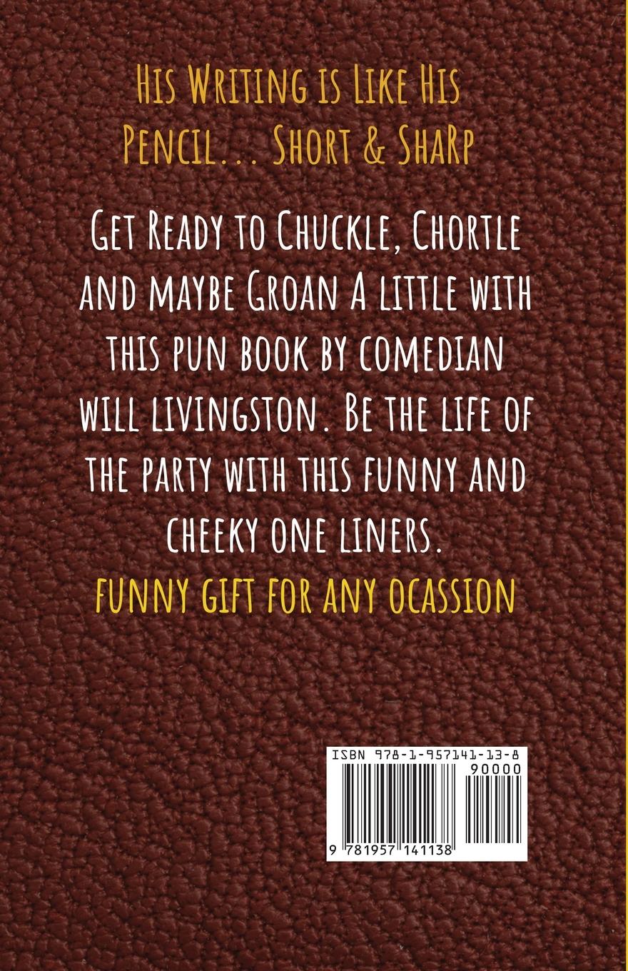 Rückseitencover No Pun Intended