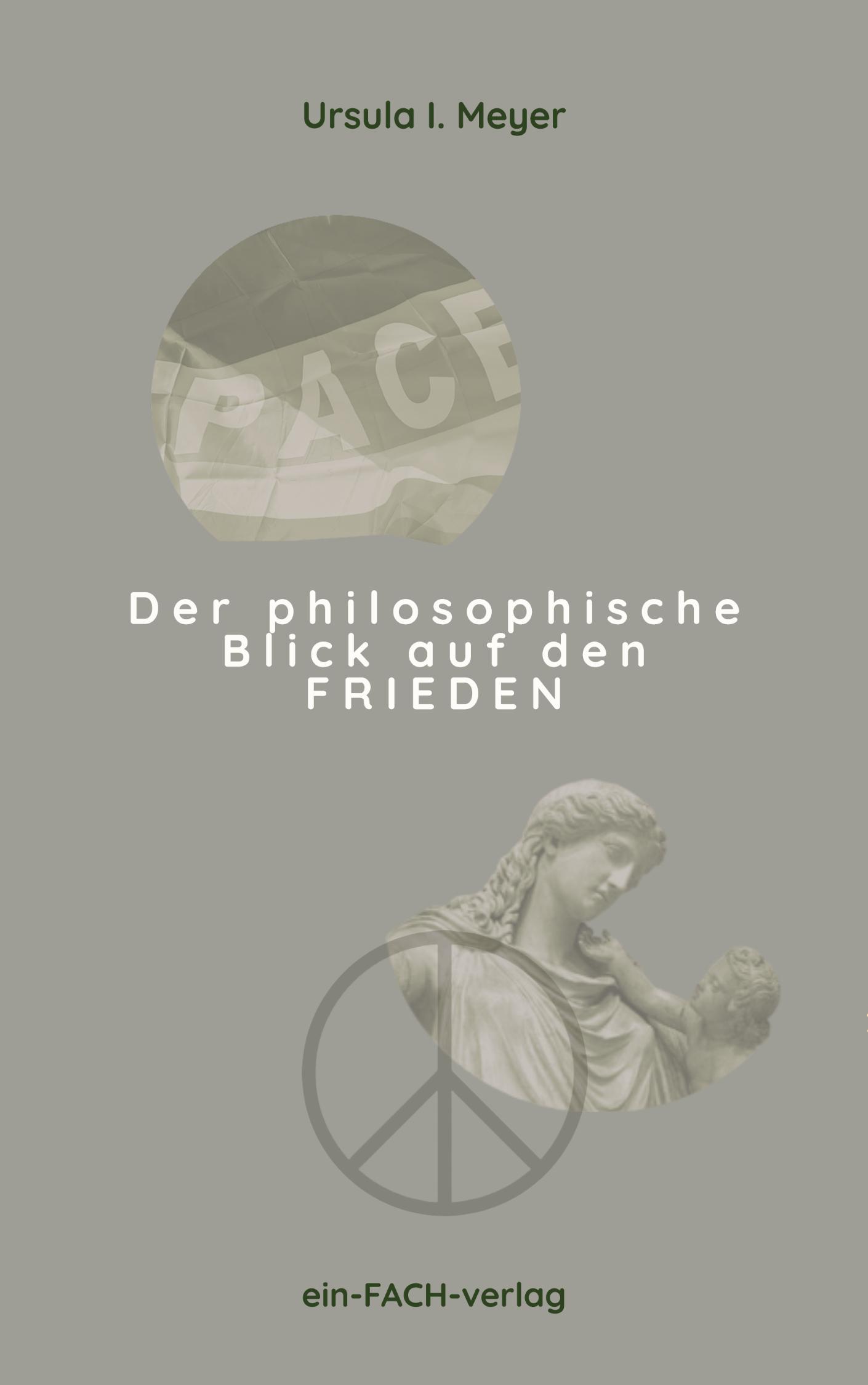 Vorderes Coverbild Der philosophische Blick auf den Frieden