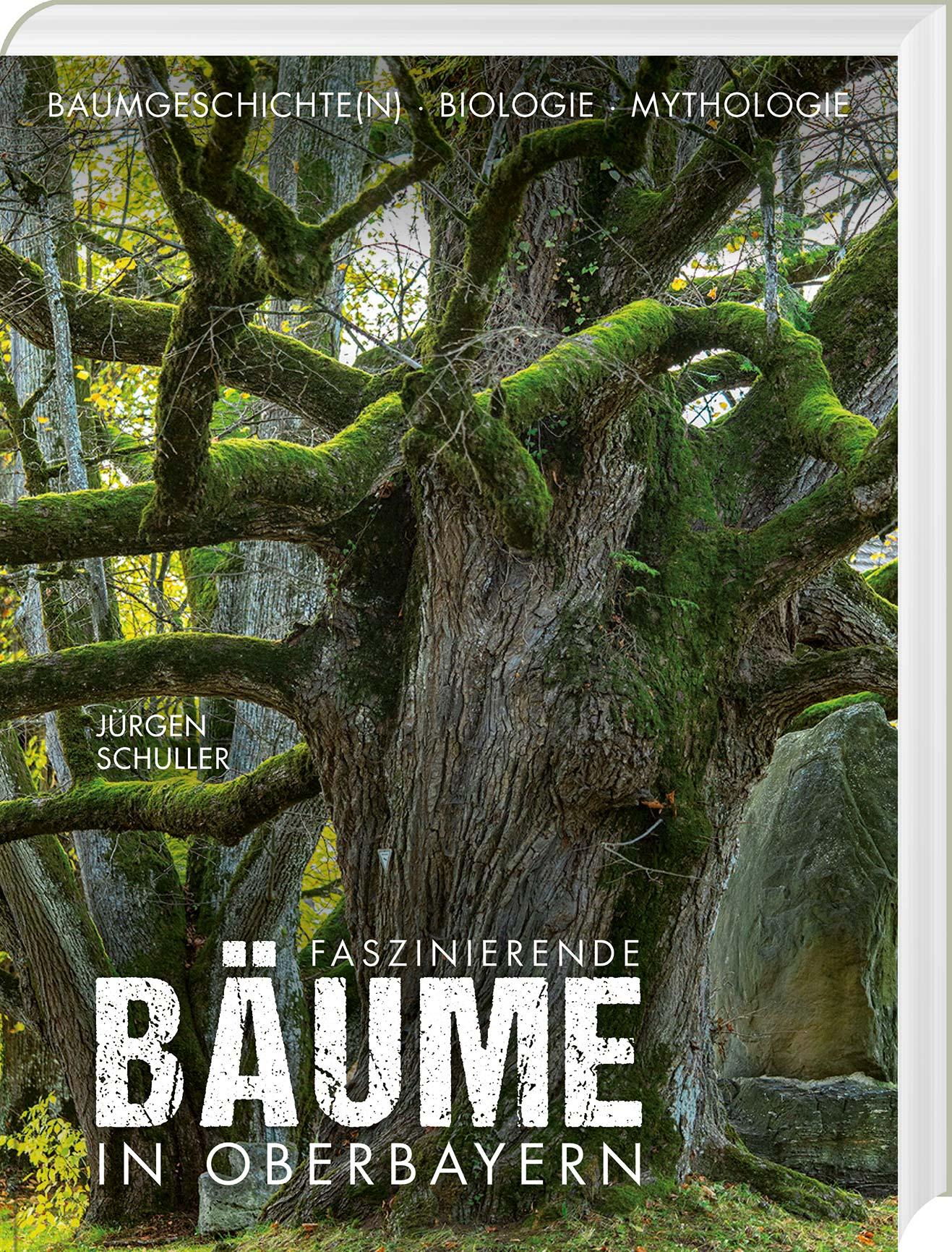 Vorderes Coverbild Faszinierende Bäume in Oberbayern
