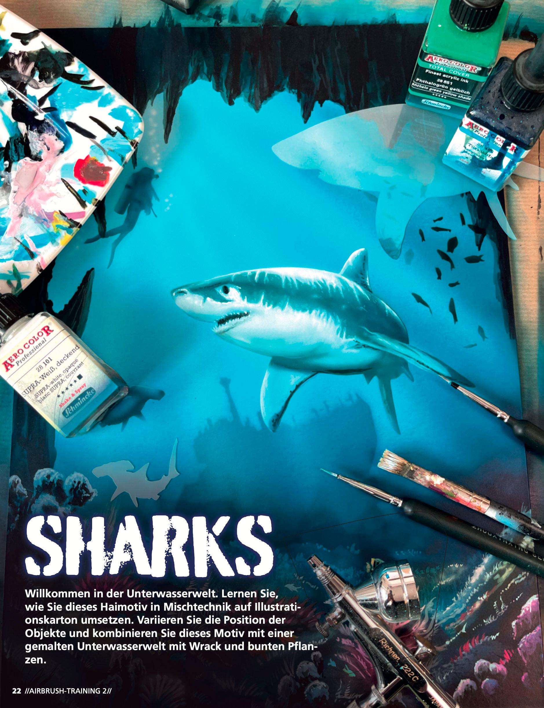 Beispielinhalt (Bild) Airbrush-Training 2