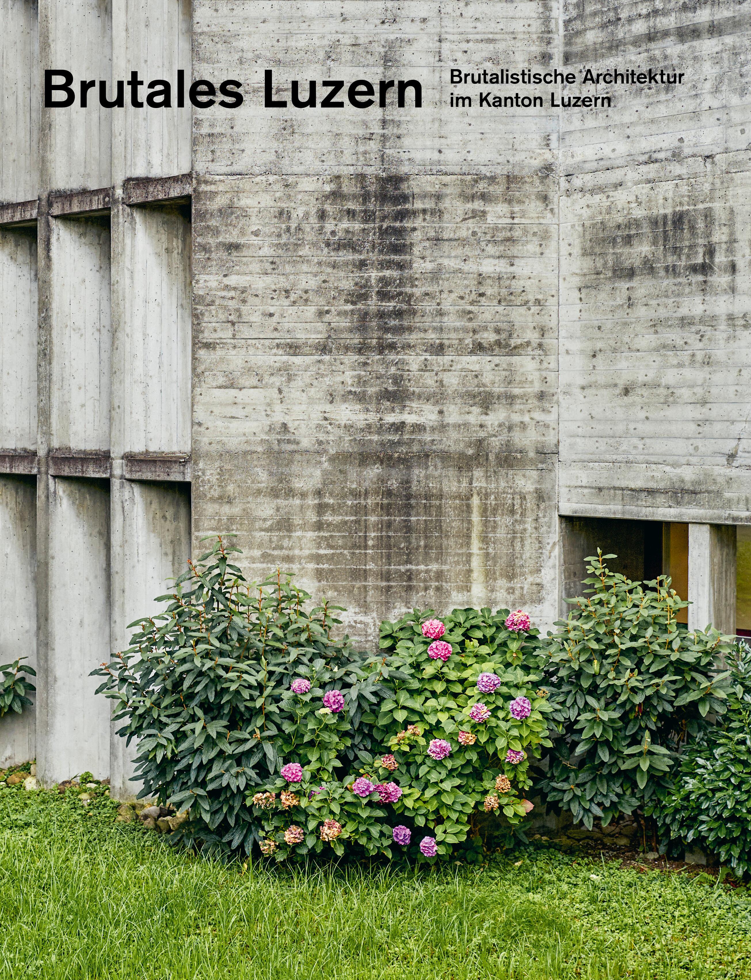 Vorderes Coverbild Brutales Luzern
