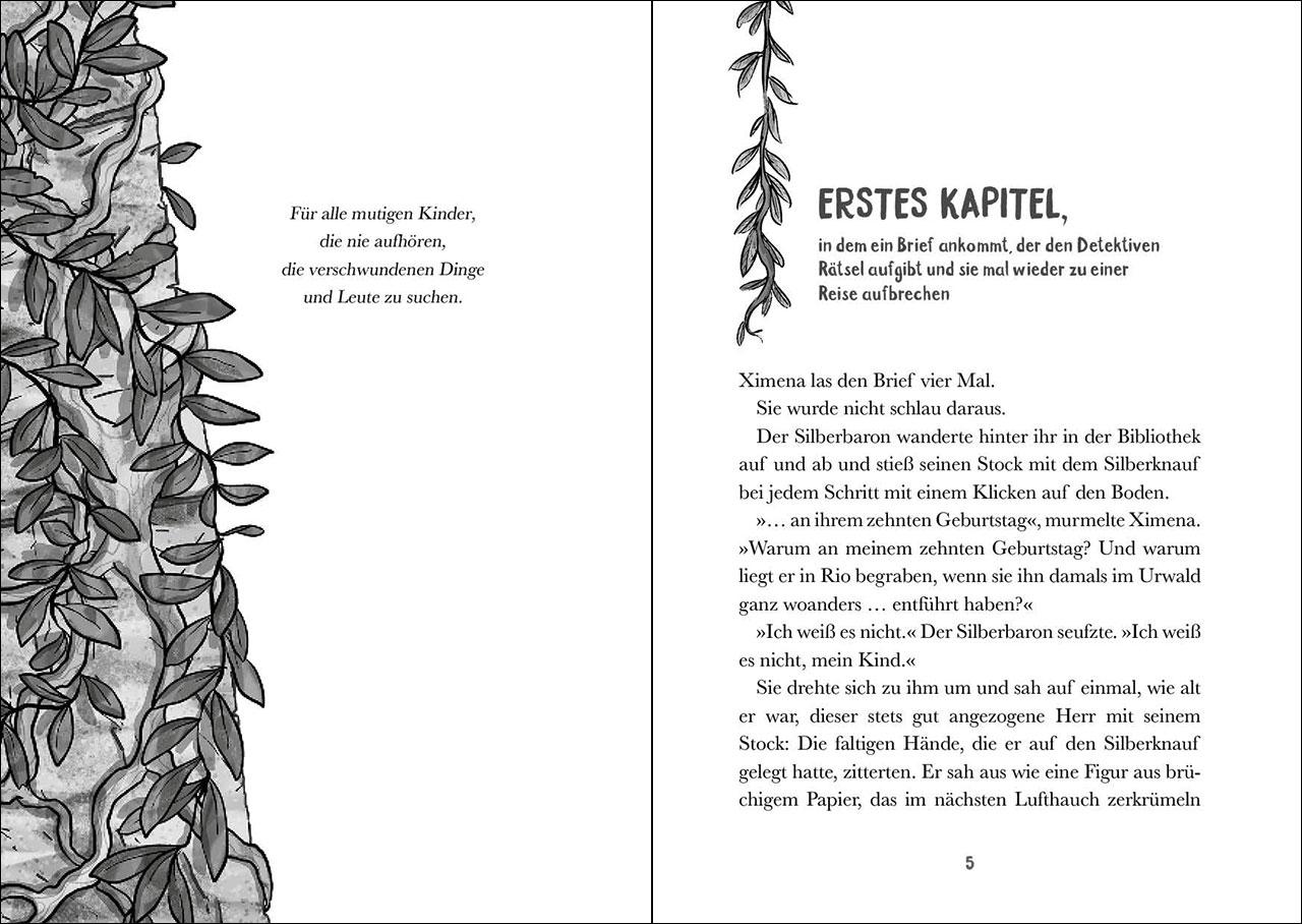 Beispielinhalt (Bild) Die Amazonas-Detektive (Band 4) - Ermittlungen im Nationalpark