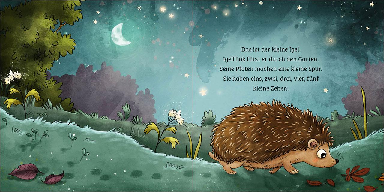 Beispielinhalt (Bild) Mein erstes Naturbuch - Der Igel