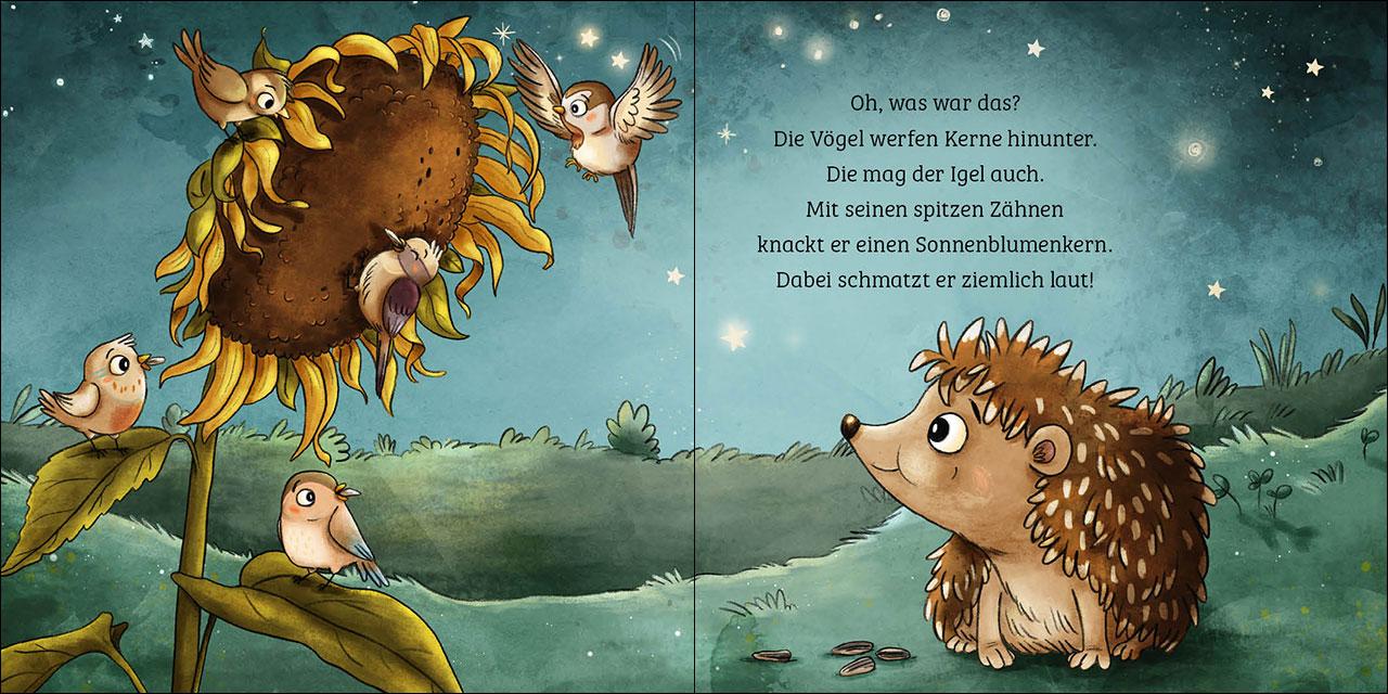 Beispielinhalt (Bild) Mein erstes Naturbuch - Der Igel