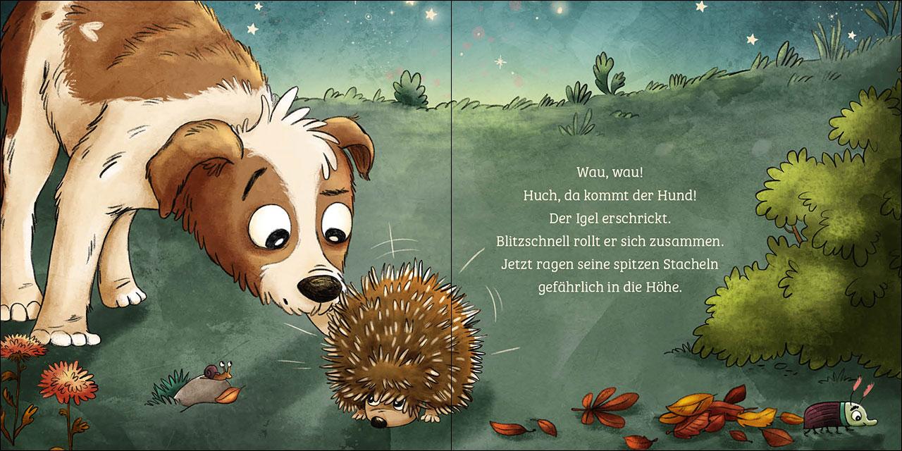 Beispielinhalt (Bild) Mein erstes Naturbuch - Der Igel