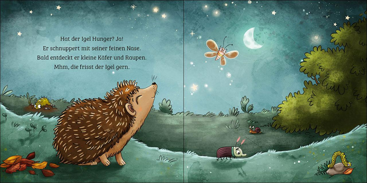 Beispielinhalt (Bild) Mein erstes Naturbuch - Der Igel