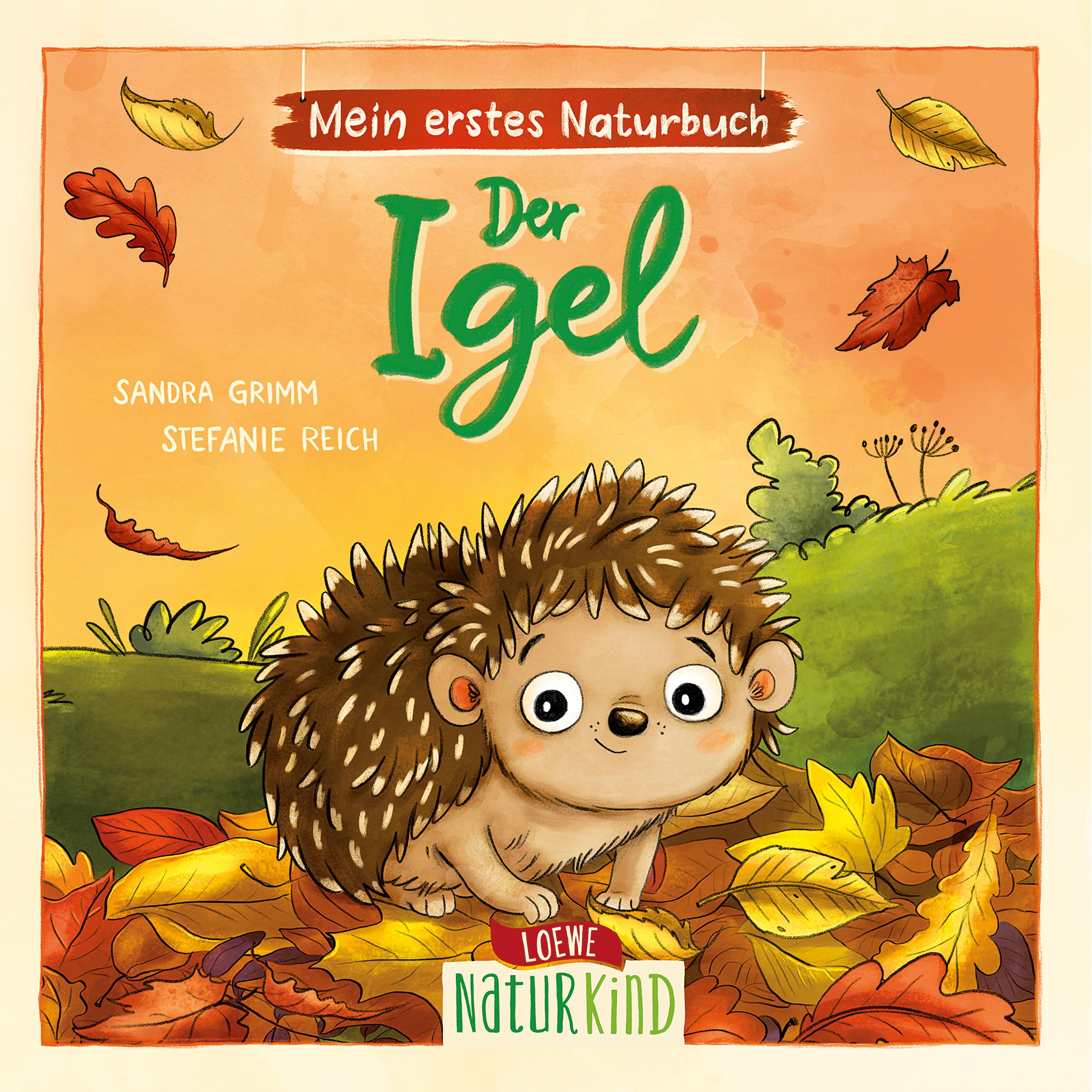Vorderes Coverbild Mein erstes Naturbuch - Der Igel