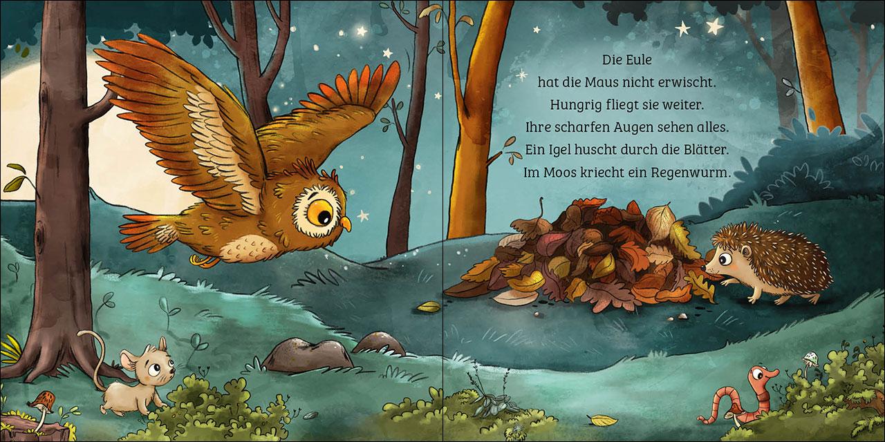 Beispielinhalt (Bild) Mein erstes Naturbuch - Die Eule