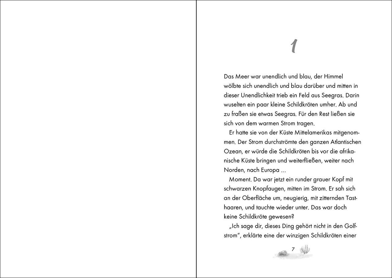 Beispielinhalt (Bild) Das geheime Leben der Tiere (Ozean) - Ein Seehund findet nach Hause