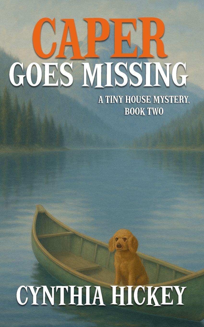 Vorderes Coverbild Caper Goes Missing