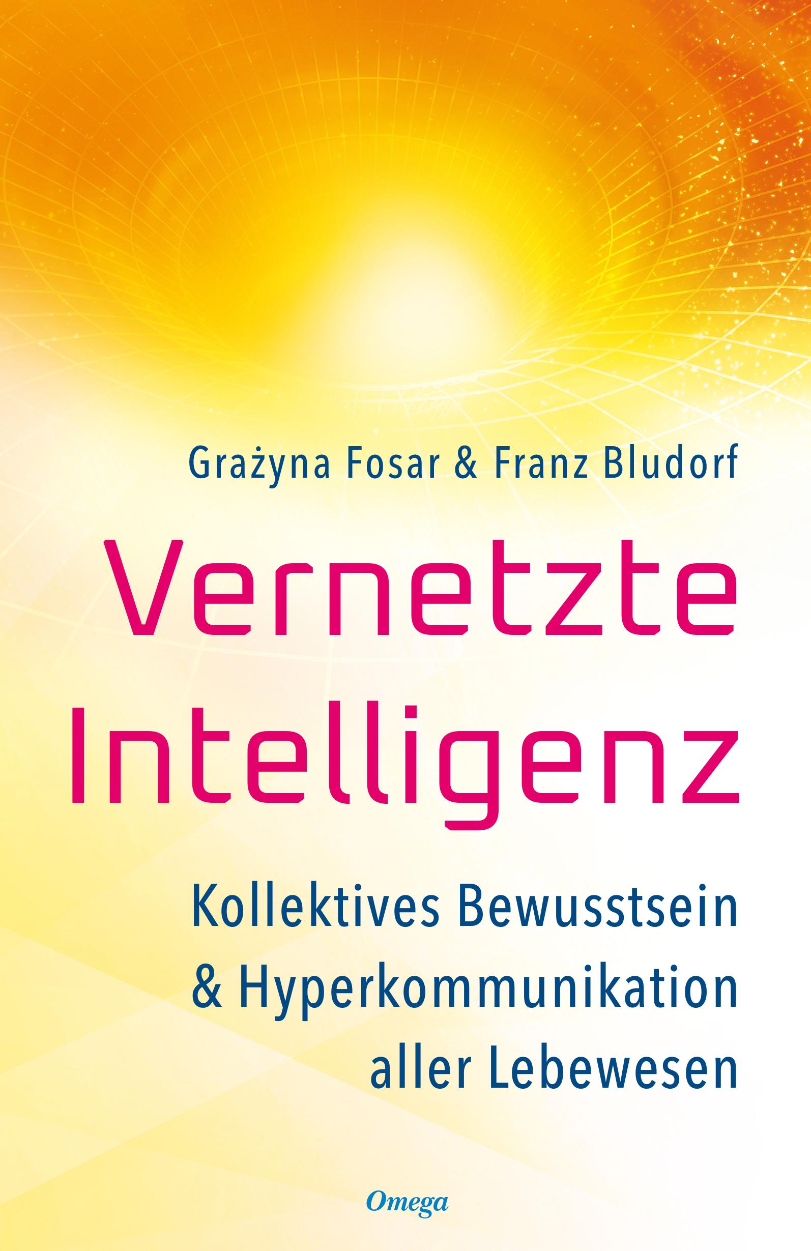 Vorderes Coverbild Vernetzte Intelligenz