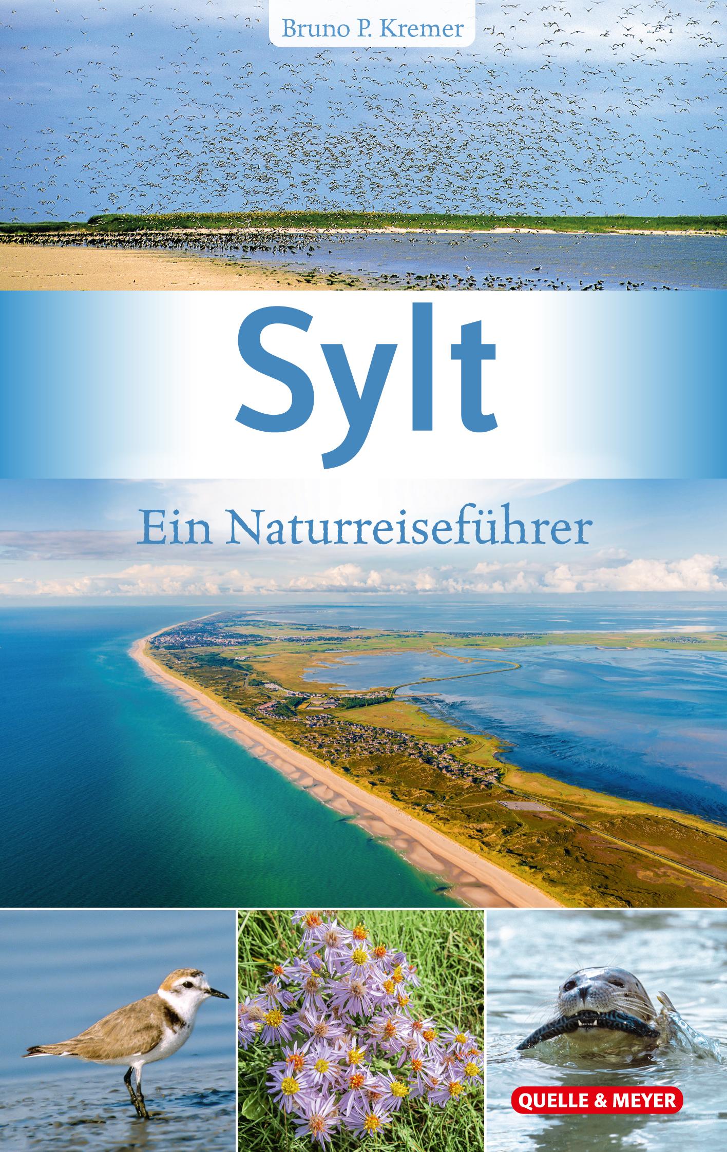 Vorderes Coverbild Sylt