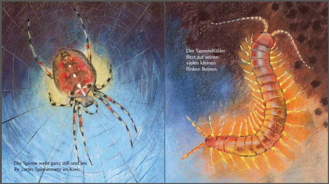 Beispielinhalt (Bild) Mein kleines Insektenbuch