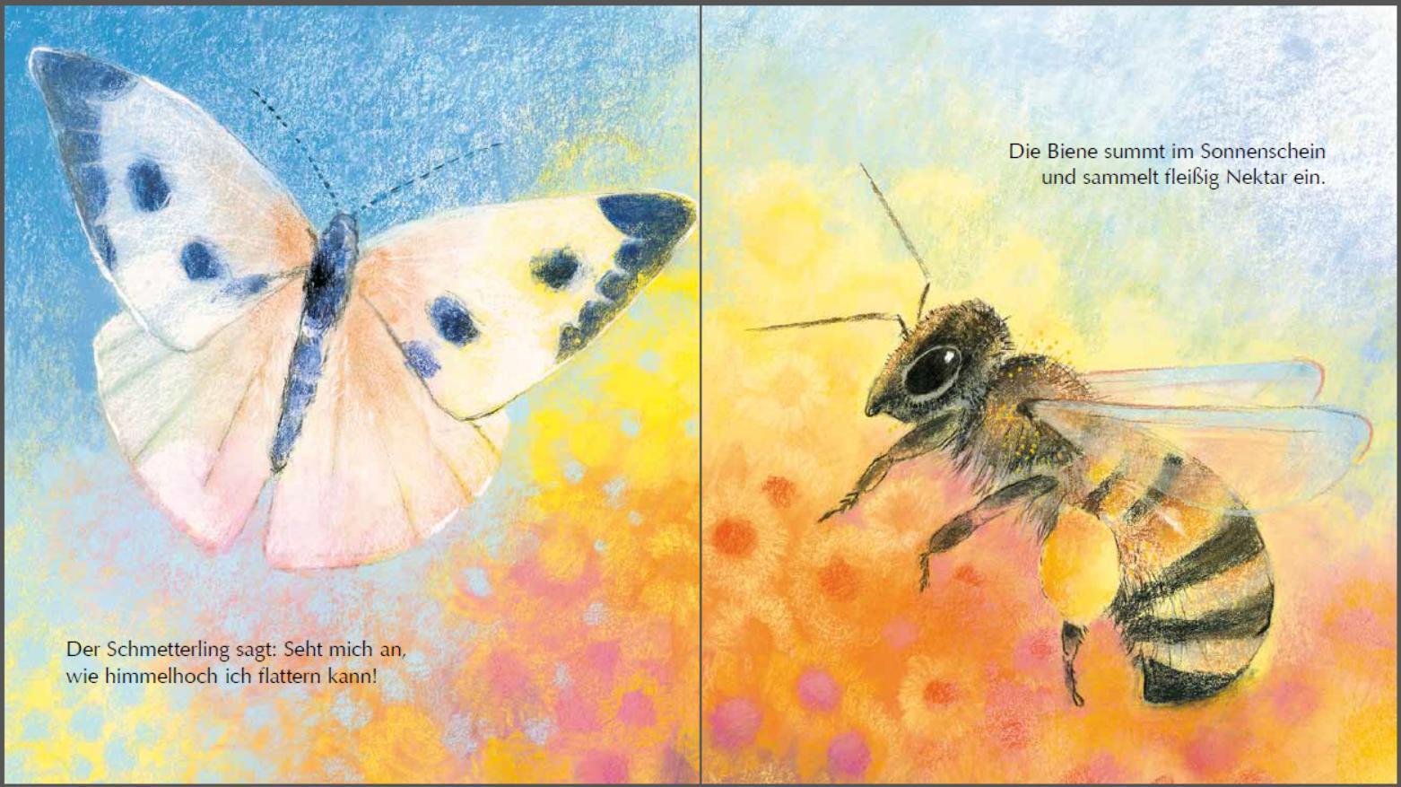Beispielinhalt (Bild) Mein kleines Insektenbuch