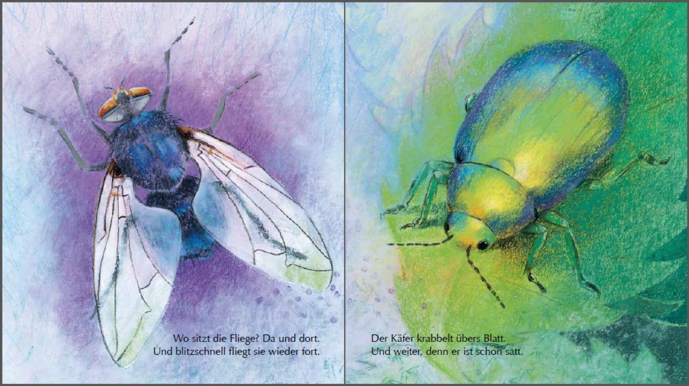 Beispielinhalt (Bild) Mein kleines Insektenbuch