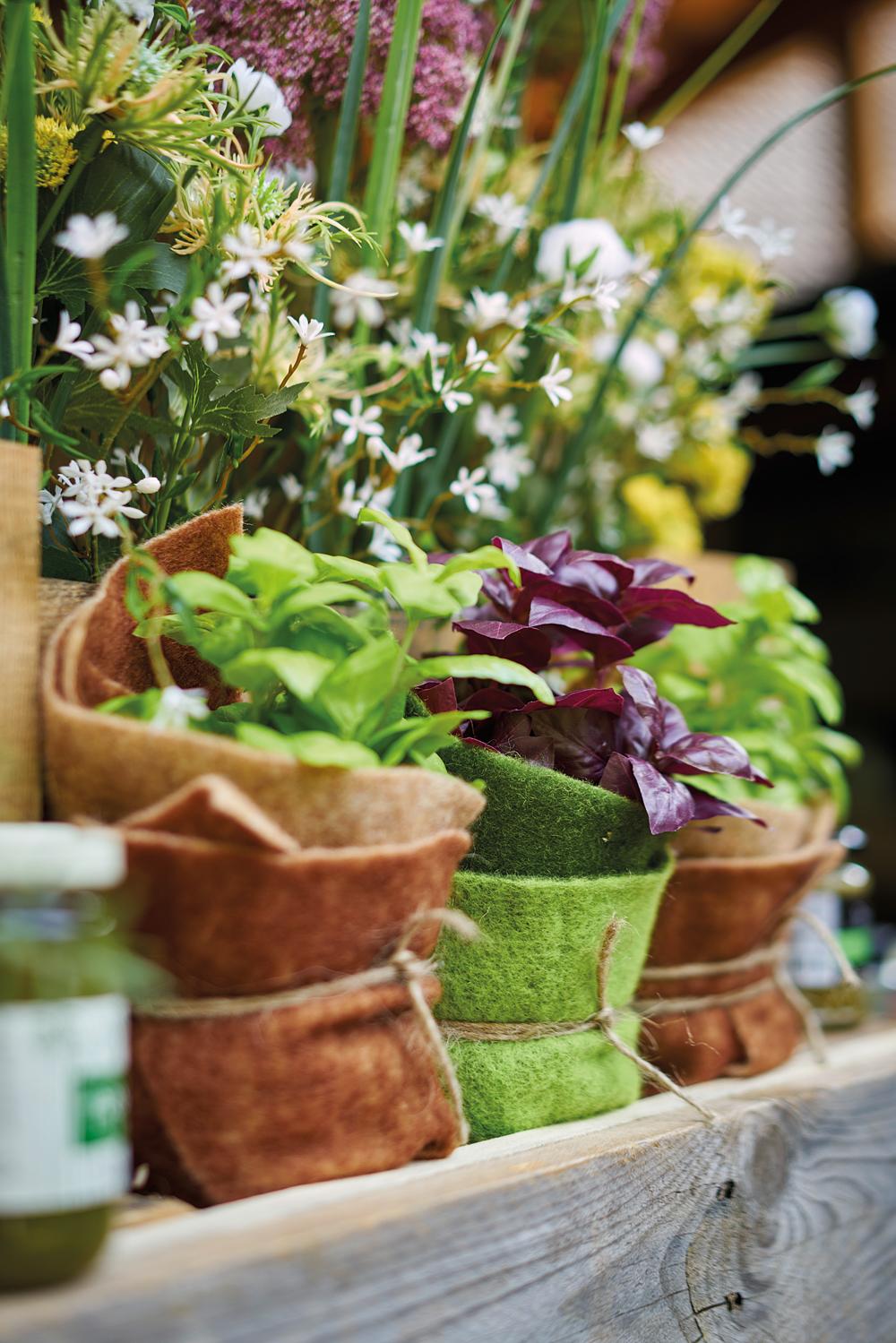 Beispielinhalt (Bild) EVERGREEN SPACES