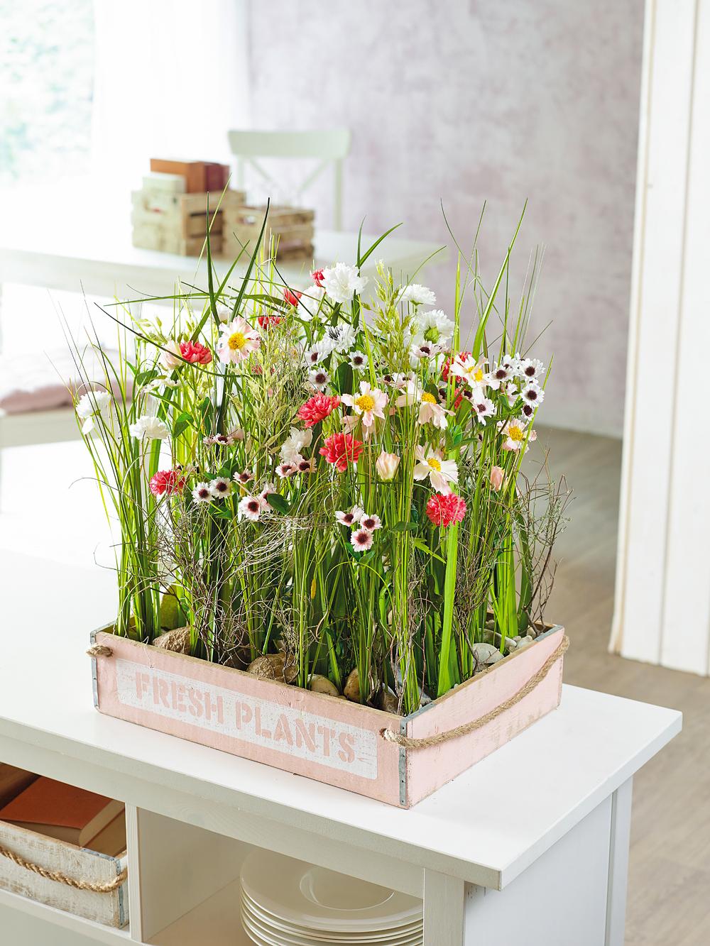 Beispielinhalt (Bild) EVERGREEN SPACES