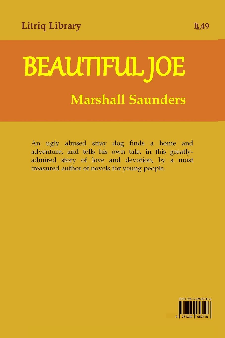 Rückseitencover Beautiful Joe