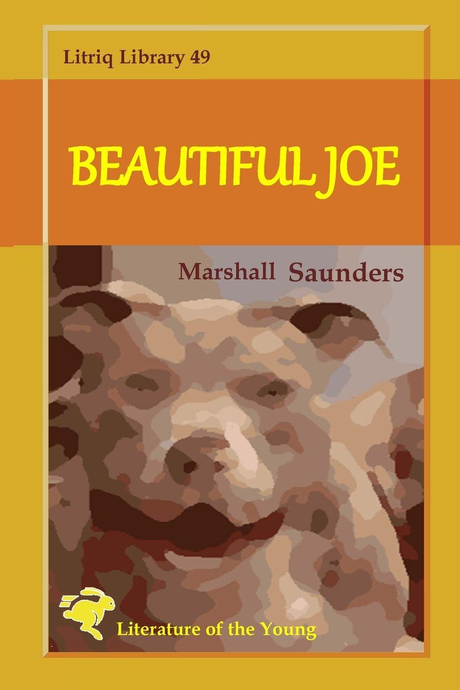 Vorderes Coverbild Beautiful Joe