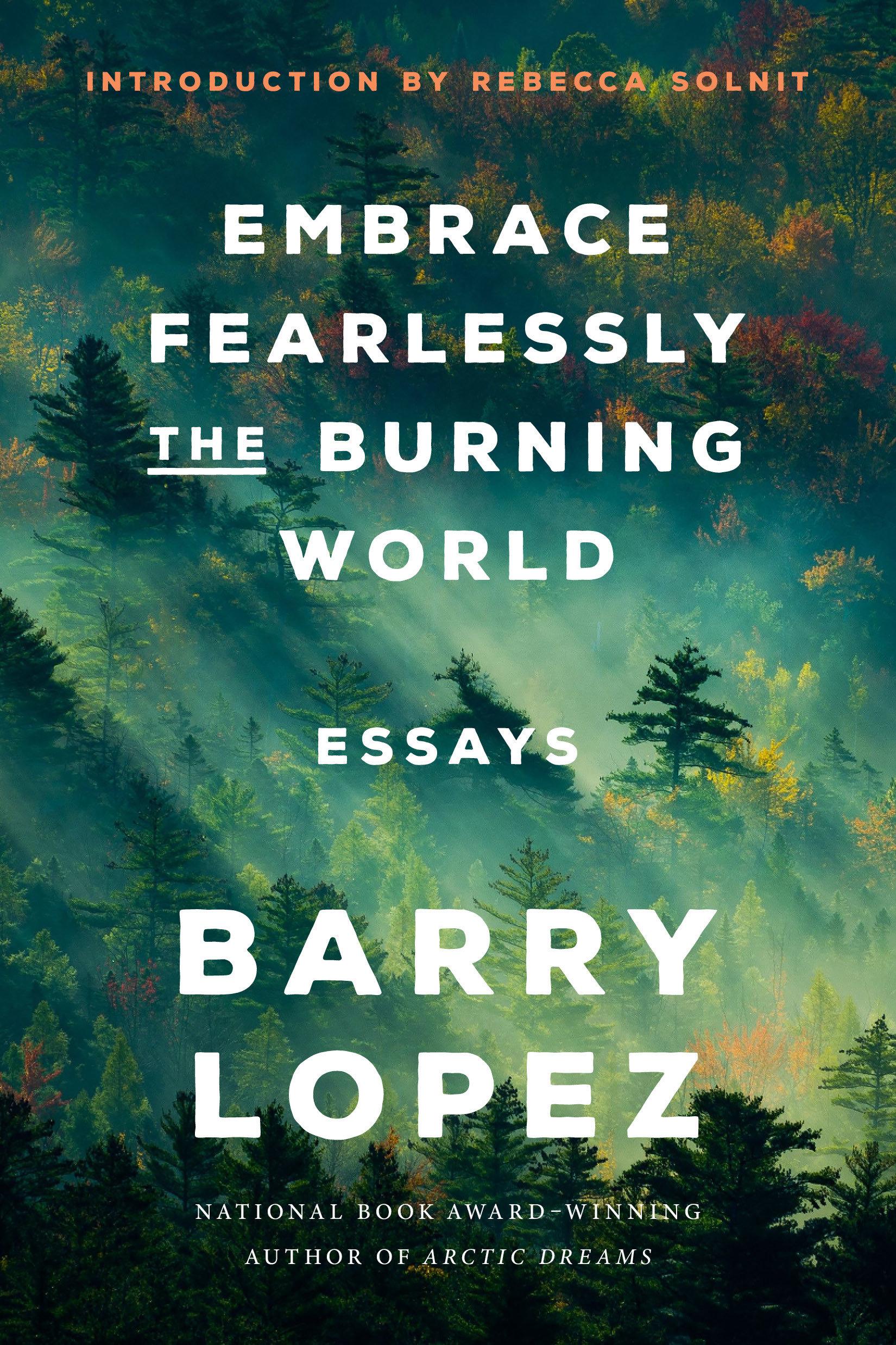 Vorderes Coverbild Embrace Fearlessly the Burning World