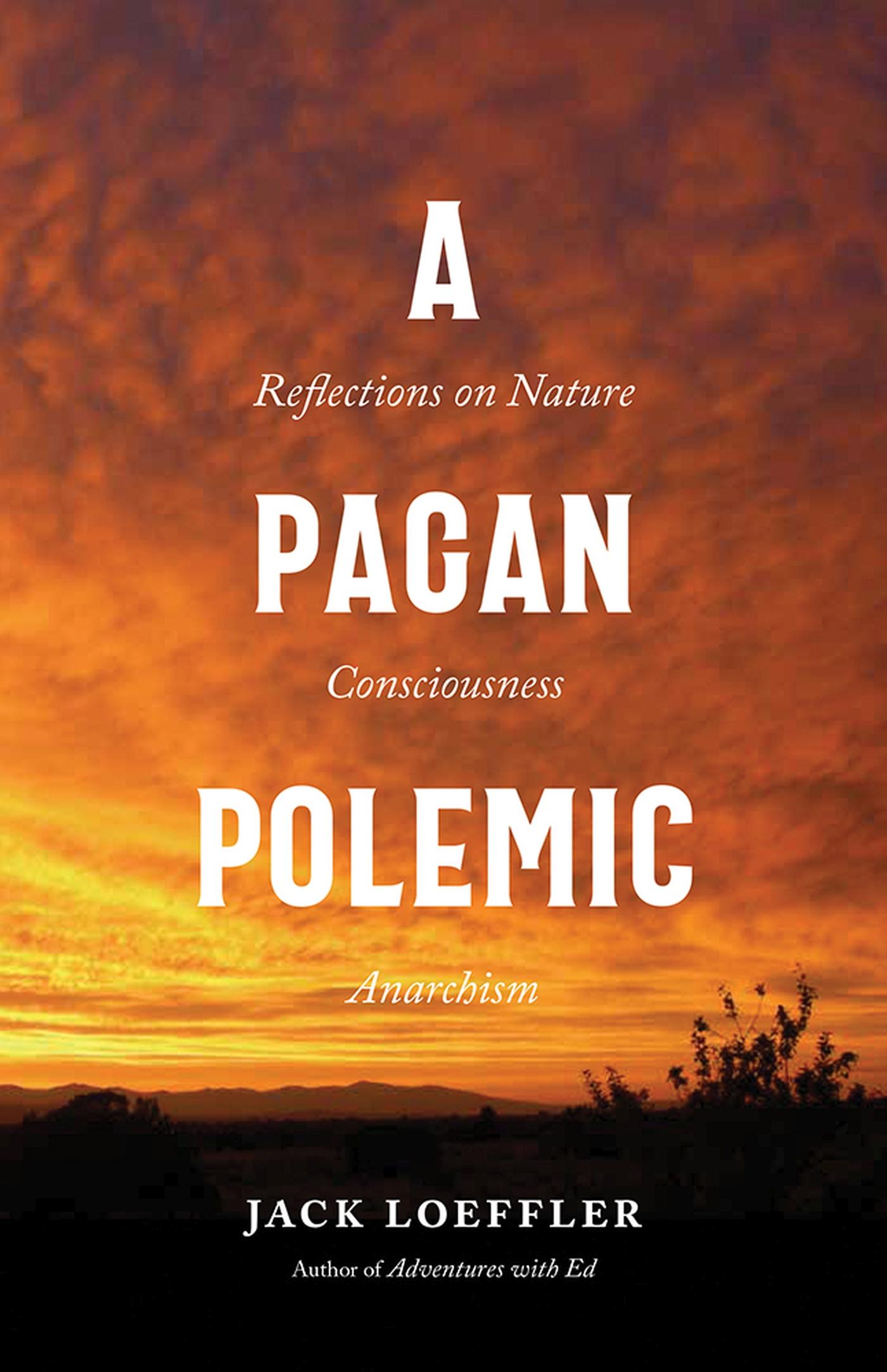 Vorderes Coverbild A Pagan Polemic