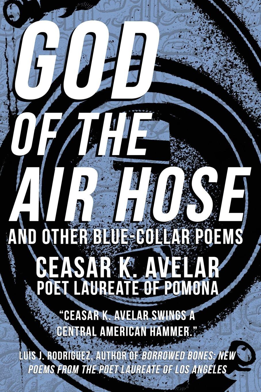 Vorderes Coverbild God of the Air Hose and Other Blue-Collar Poems