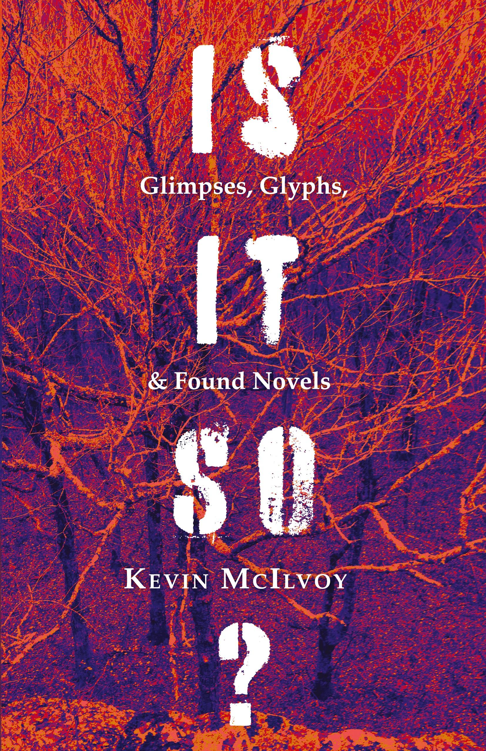 Vorderes Coverbild Is It So? Glimpses, Glyphs, & Found Novels