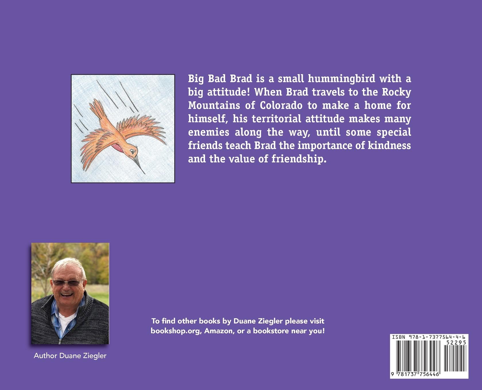 Rückseitencover BIG BAD BRAD the Hummingbird