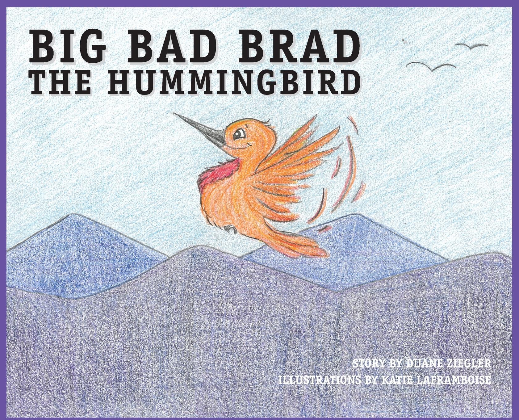 Vorderes Coverbild BIG BAD BRAD the Hummingbird