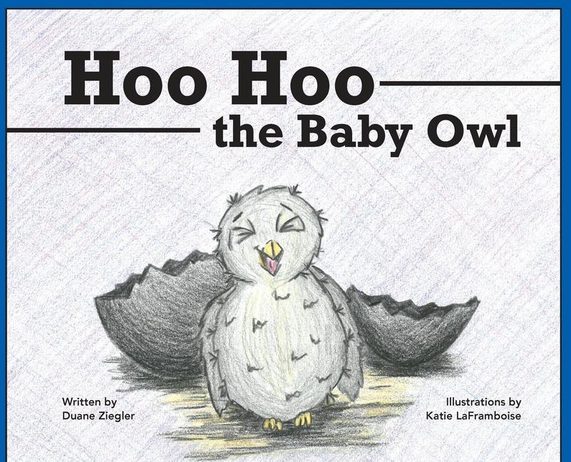 Vorderes Coverbild Hoo Hoo the Baby Owl