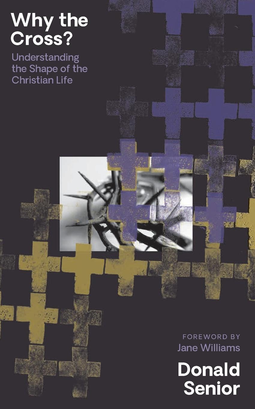Vorderes Coverbild Why the Cross? Understanding the Shape of the Christian Life