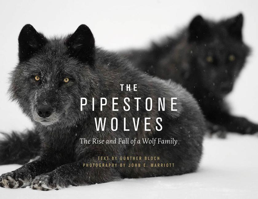 Vorderes Coverbild The Pipestone Wolves