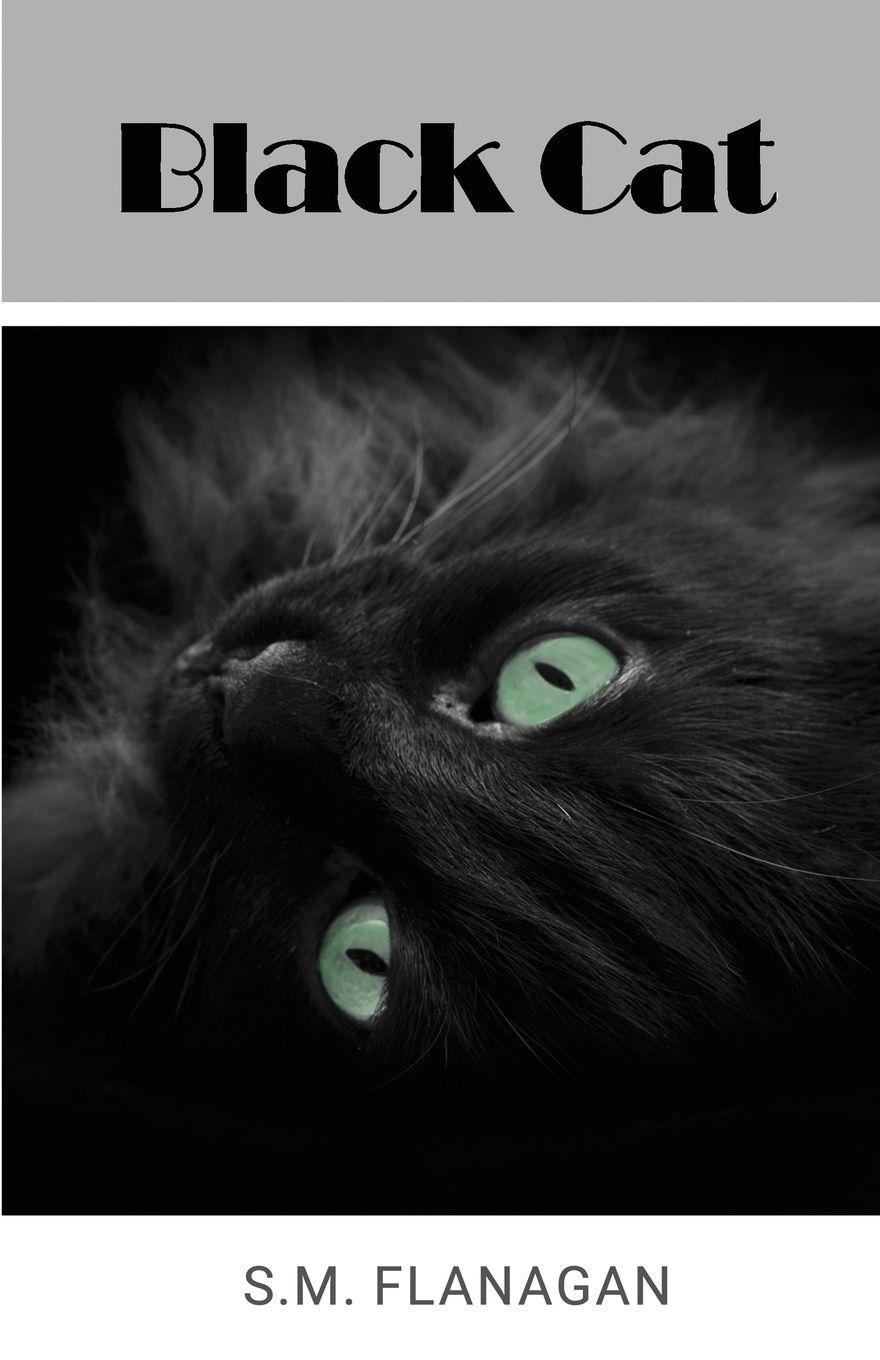 Vorderes Coverbild Black Cat