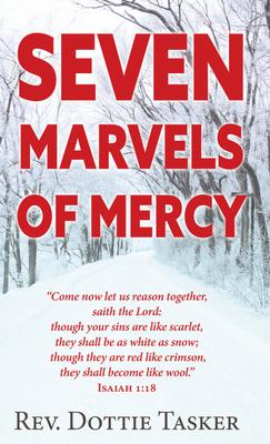 Vorderes Coverbild Seven Marvels of Mercy