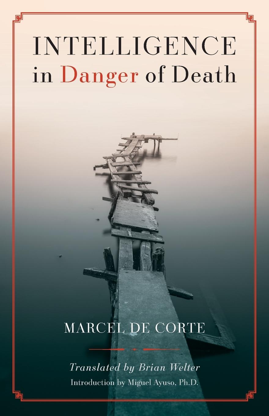 Vorderes Coverbild Intelligence in Danger of Death (English edition)