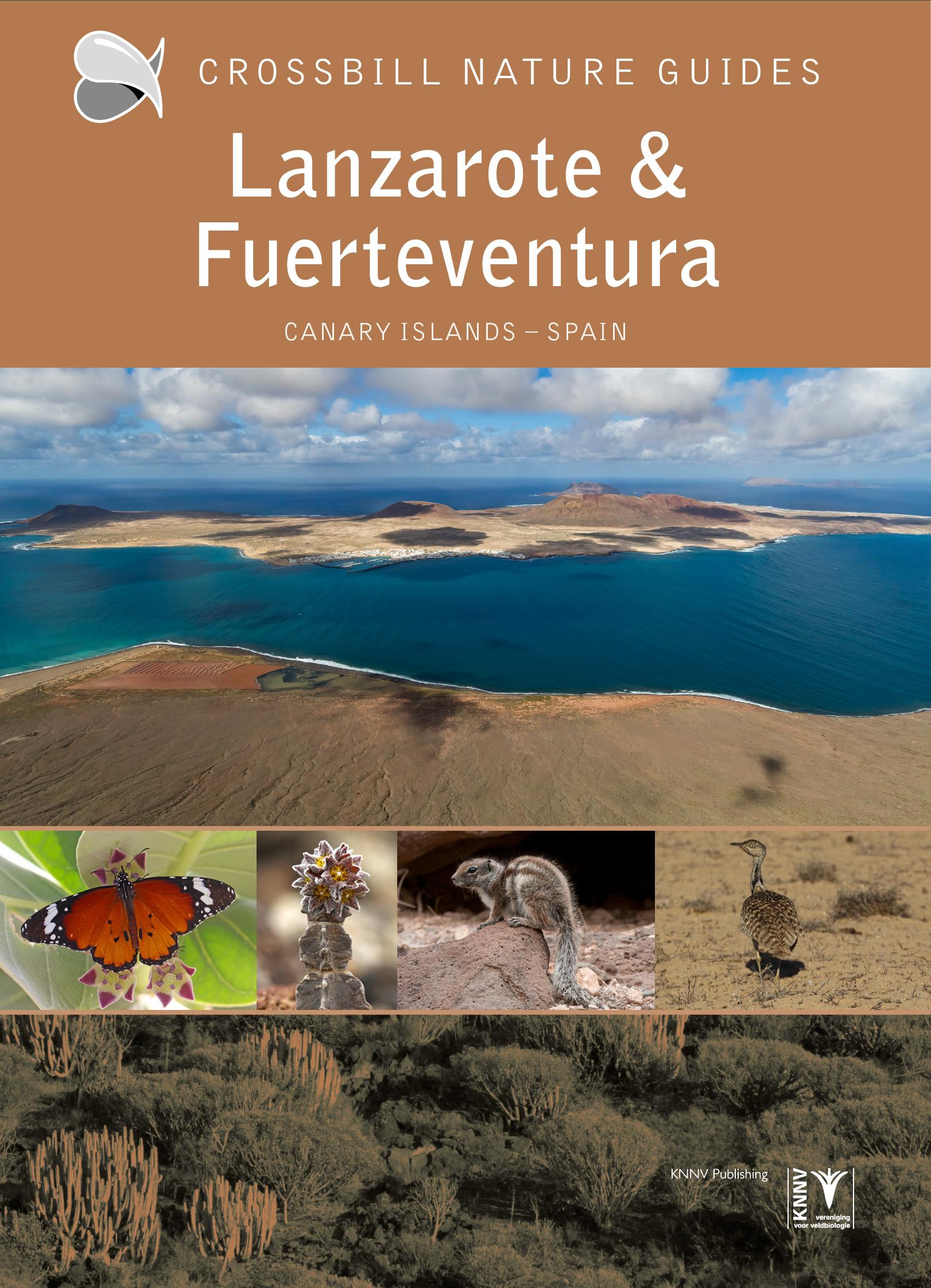 Vorderes Coverbild Lanzarote and Fuerteventura