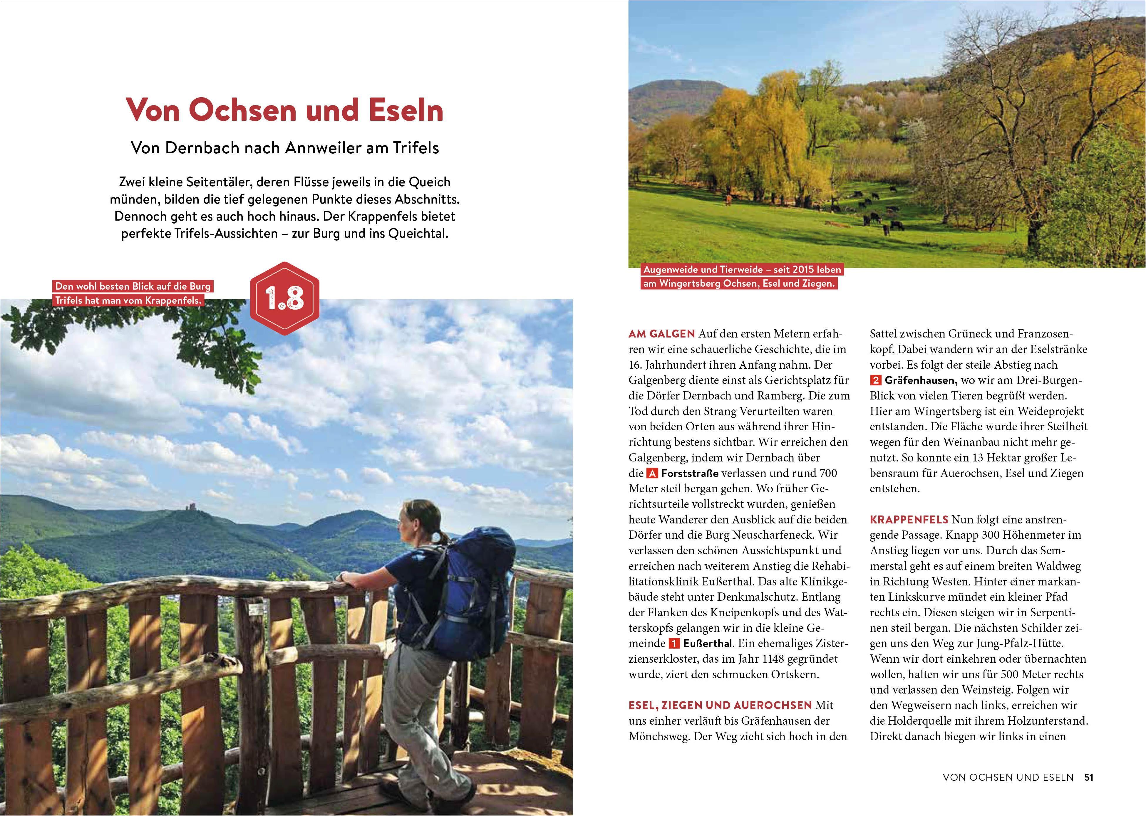 Beispielinhalt (Bild) Fernwanderwege Pfalz