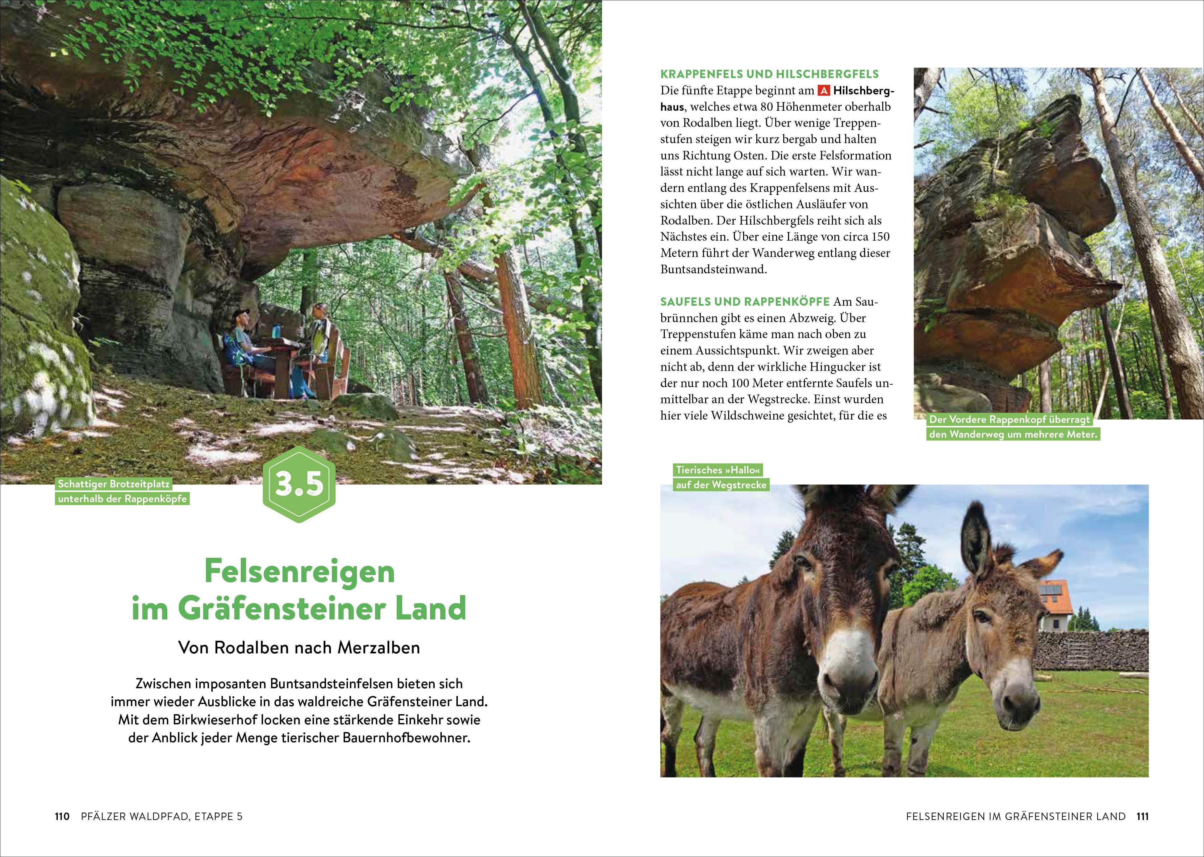 Beispielinhalt (Bild) Fernwanderwege Pfalz