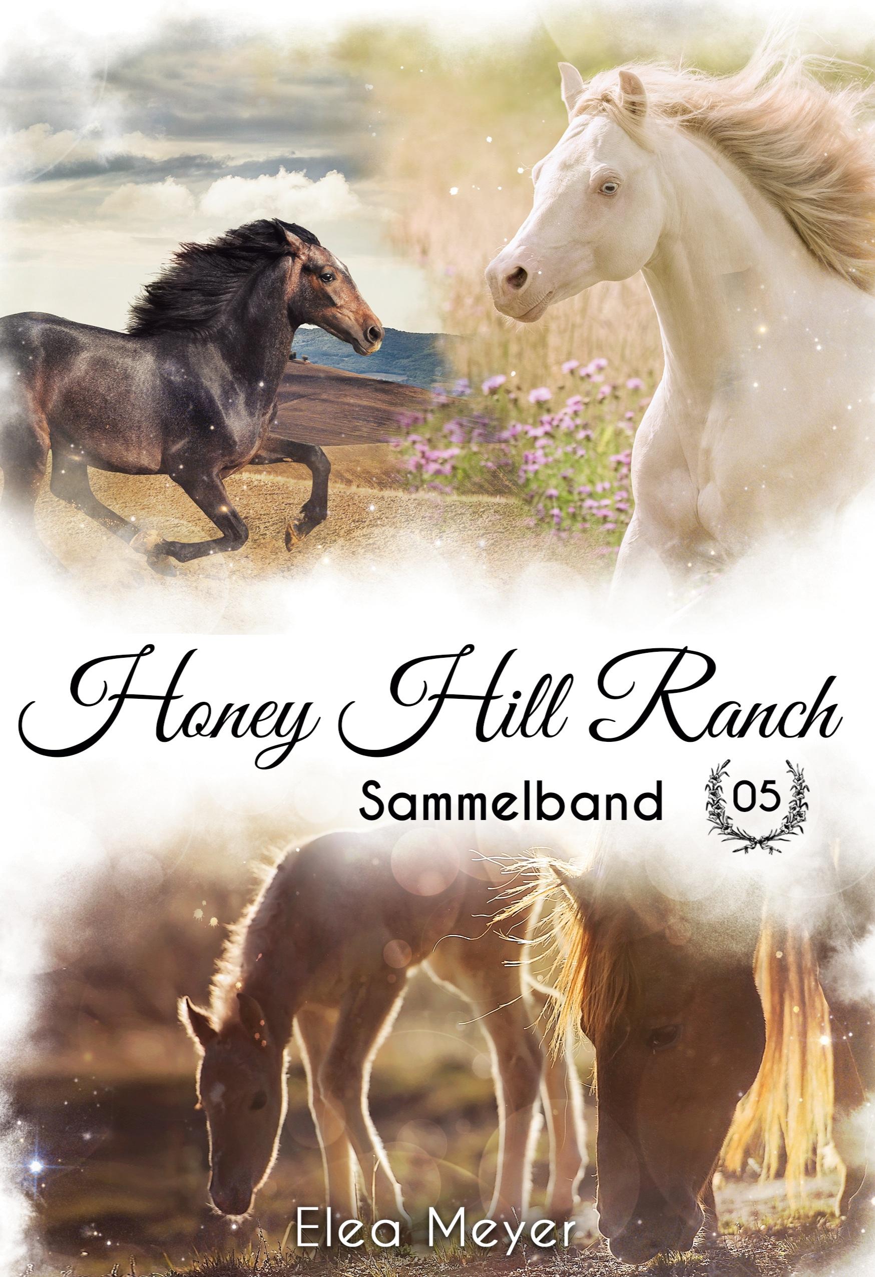 Vorderes Coverbild Honey Hill Ranch