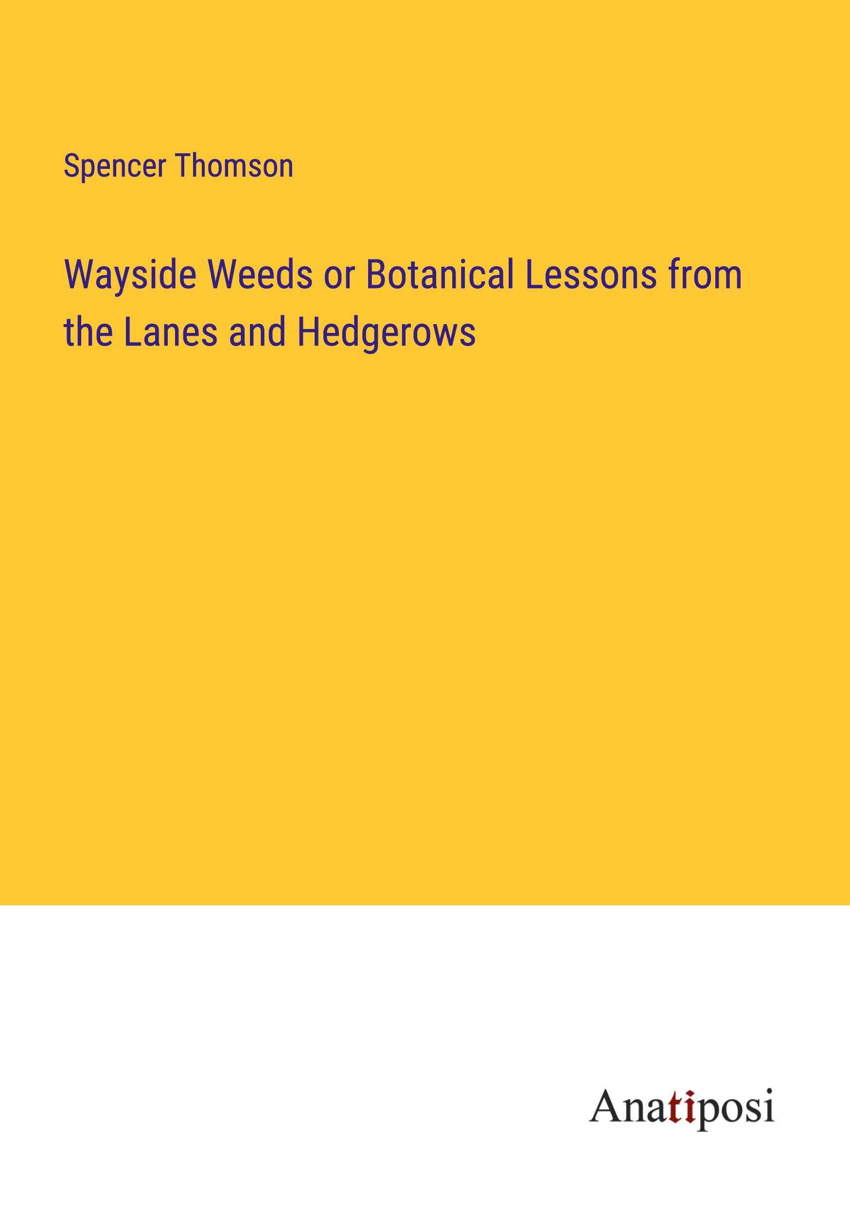 Vorderes Coverbild Wayside Weeds or Botanical Lessons from the Lanes and Hedgerows